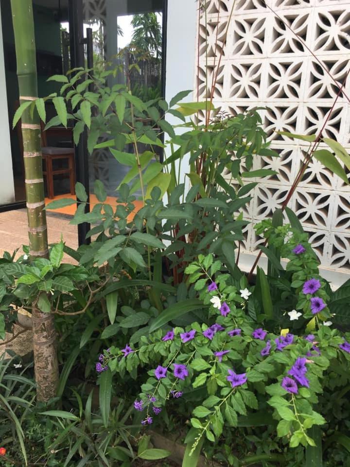 Villa D'Orange Siem Reap Exteriér fotografie